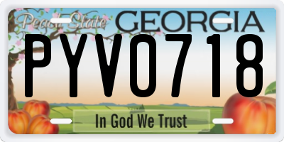 GA license plate PYV0718