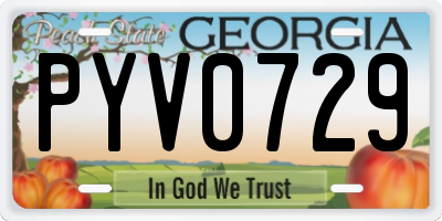 GA license plate PYV0729