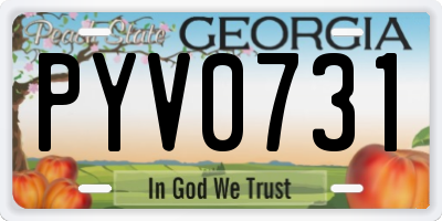 GA license plate PYV0731