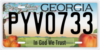 GA license plate PYV0733