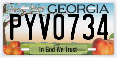 GA license plate PYV0734