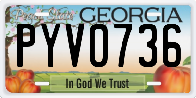 GA license plate PYV0736