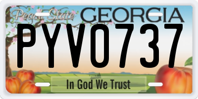 GA license plate PYV0737