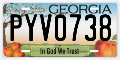 GA license plate PYV0738