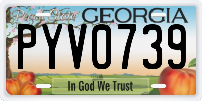 GA license plate PYV0739