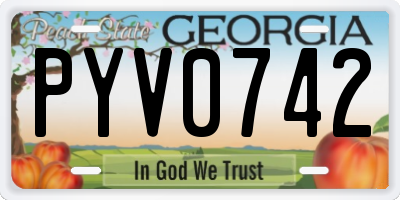 GA license plate PYV0742