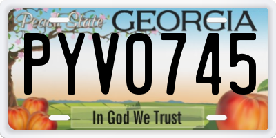 GA license plate PYV0745