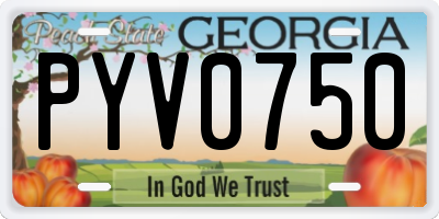 GA license plate PYV0750