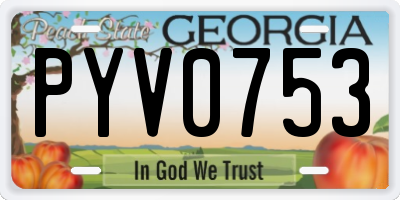 GA license plate PYV0753