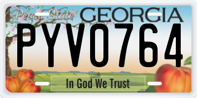 GA license plate PYV0764
