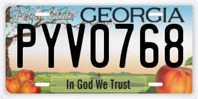 GA license plate PYV0768
