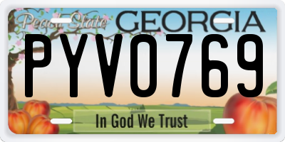 GA license plate PYV0769