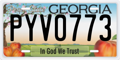 GA license plate PYV0773