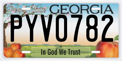 GA license plate PYV0782