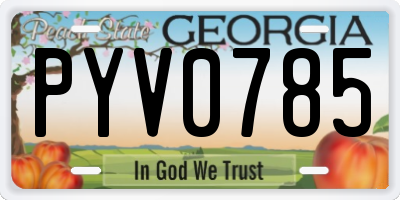 GA license plate PYV0785