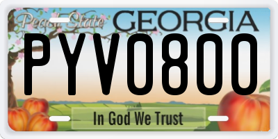 GA license plate PYV0800