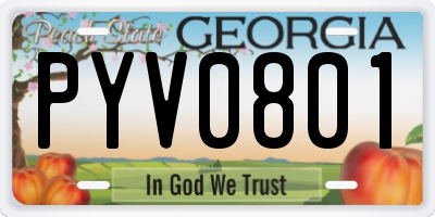 GA license plate PYV0801
