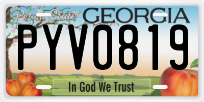GA license plate PYV0819