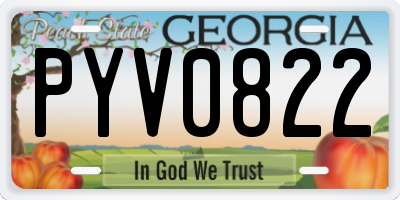 GA license plate PYV0822