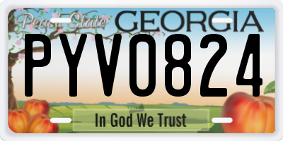GA license plate PYV0824