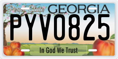 GA license plate PYV0825