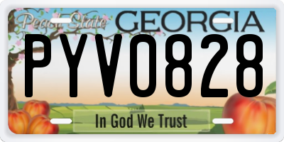 GA license plate PYV0828