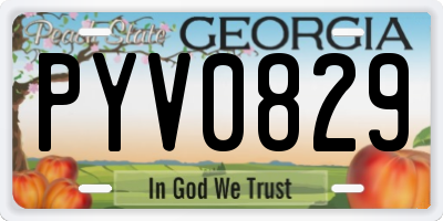 GA license plate PYV0829