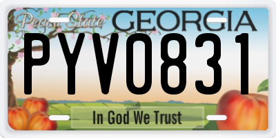 GA license plate PYV0831