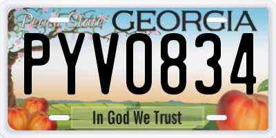 GA license plate PYV0834