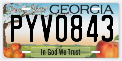 GA license plate PYV0843