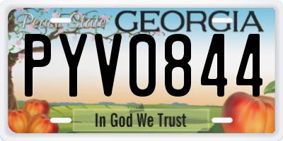 GA license plate PYV0844