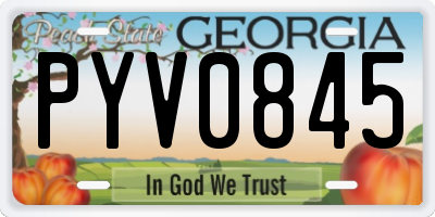 GA license plate PYV0845