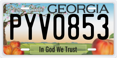 GA license plate PYV0853