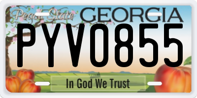 GA license plate PYV0855