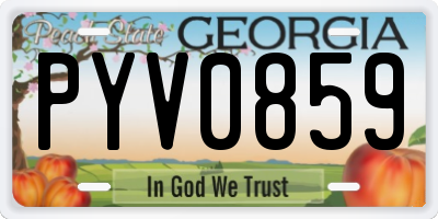 GA license plate PYV0859
