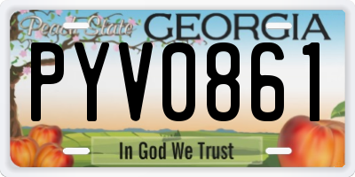 GA license plate PYV0861