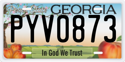 GA license plate PYV0873