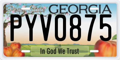 GA license plate PYV0875