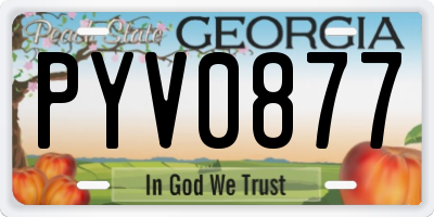 GA license plate PYV0877