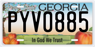 GA license plate PYV0885