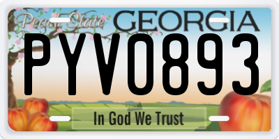 GA license plate PYV0893