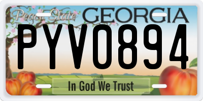 GA license plate PYV0894