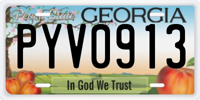 GA license plate PYV0913