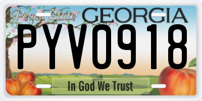 GA license plate PYV0918