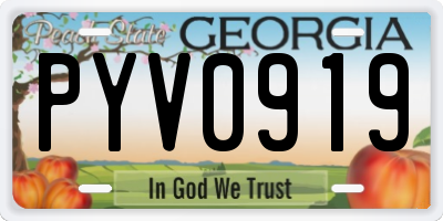 GA license plate PYV0919