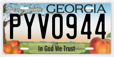 GA license plate PYV0944