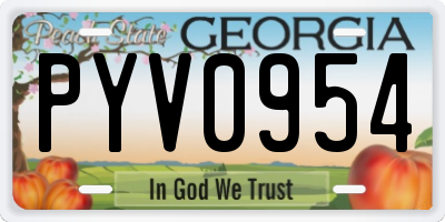 GA license plate PYV0954