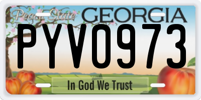 GA license plate PYV0973