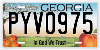GA license plate PYV0975