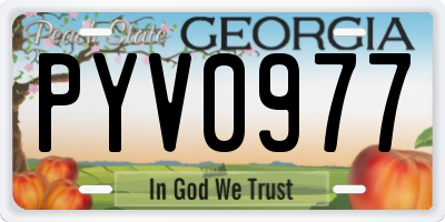 GA license plate PYV0977